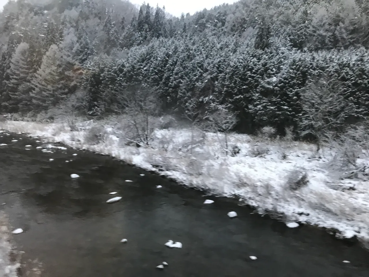 9808820A-0EA9-4CF6-8F6D-62077E9A4E14.jpeg