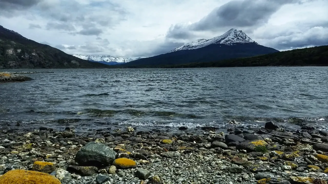 F25740ED-B9E4-491A-8EFC-122E72C33E03.jpeg