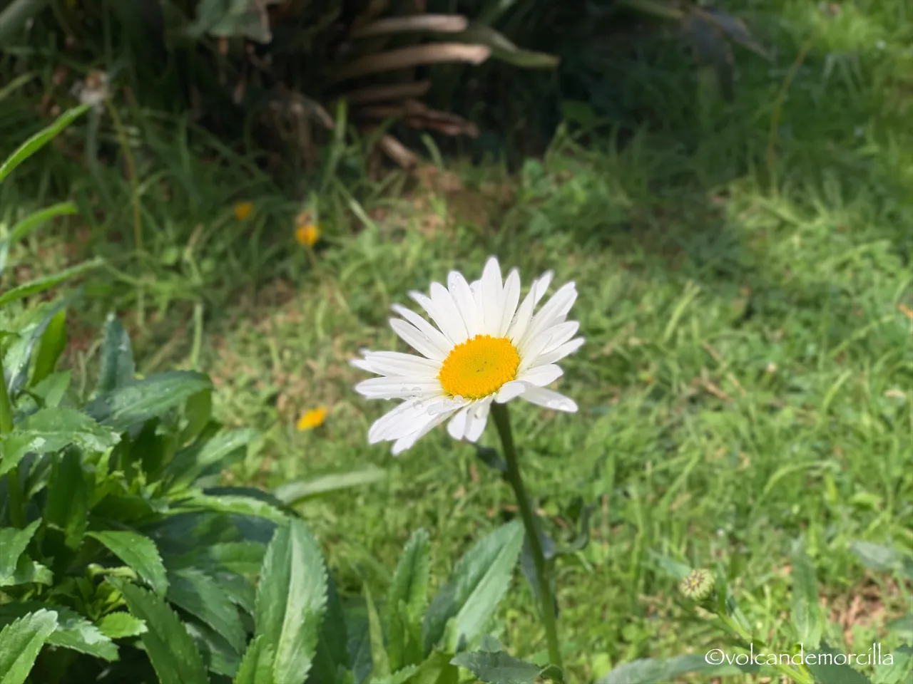 1DF70CC4-C788-4CD6-999D-CE1C0D92D3C3.jpeg