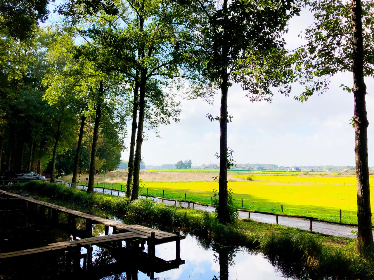 7EC932C4-181D-4D86-9CEA-F24D5CD1A6D8.jpeg