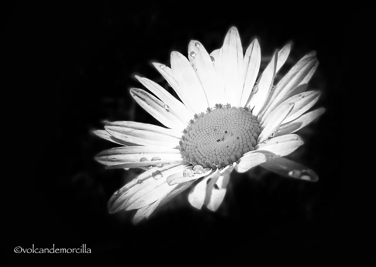 8E77D709-77AA-421D-A34E-6B4437B8170A.jpeg