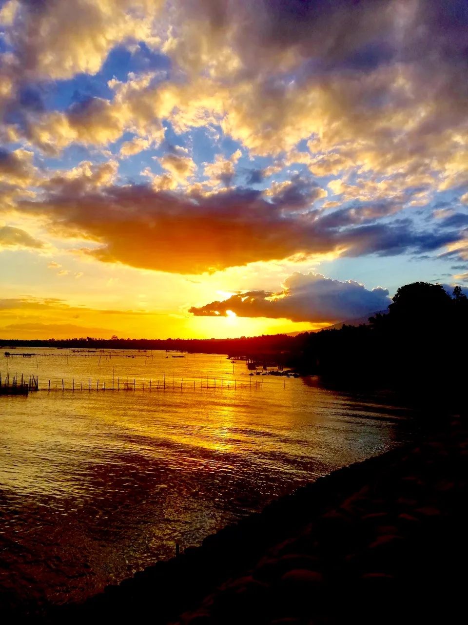 D82FE0C6-350D-4355-B848-06E4E28C1667.jpeg