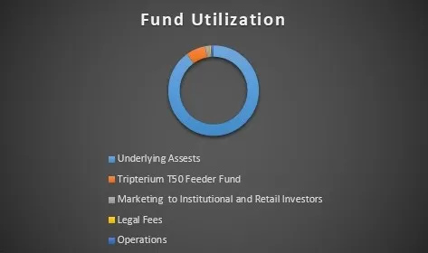 tripterium-t50-fund-utilization-table.jpg