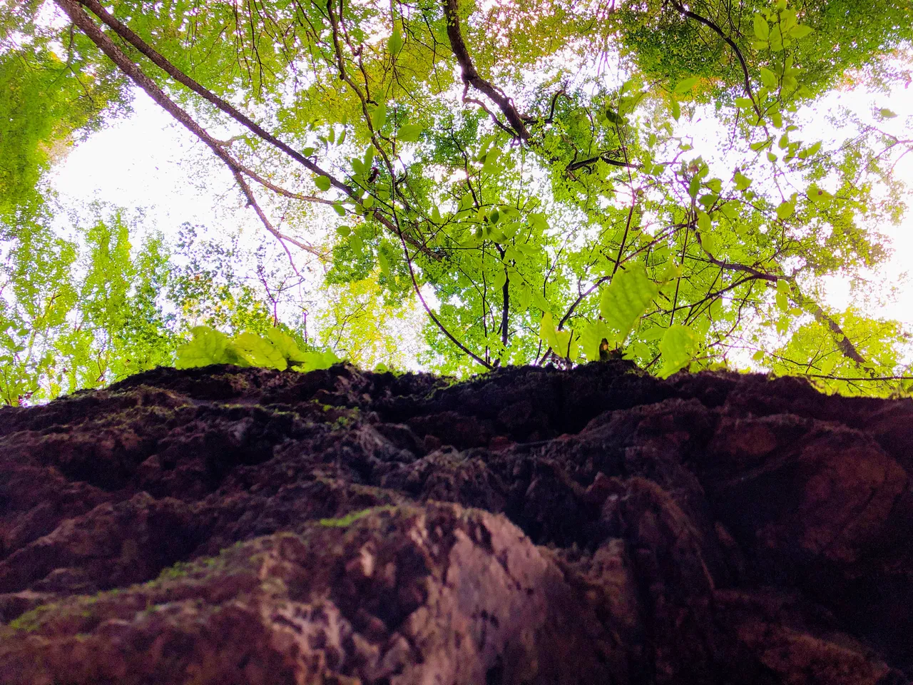 E5A7805D-C82E-408B-9B15-3A03CA60AAE3.jpeg