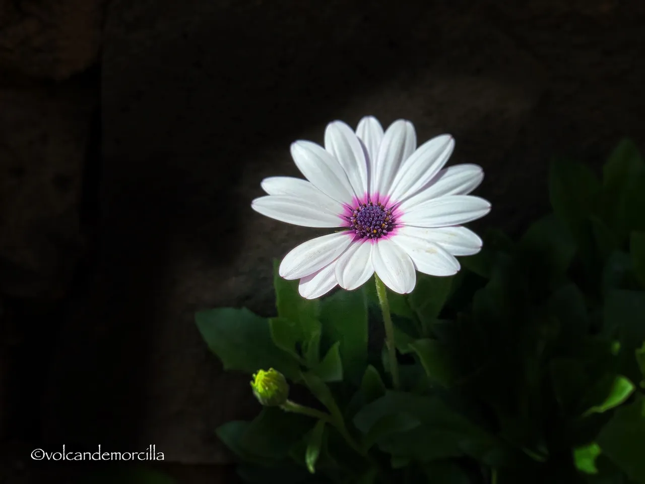 42E1B210-5F7F-411F-A981-FE11659AB61E.jpeg