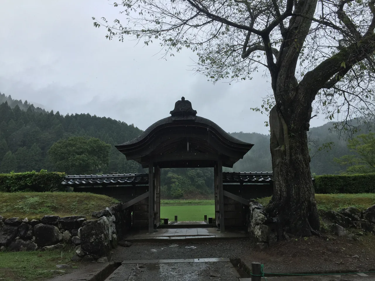 4343EBDE-AE43-436C-AE8A-B98F3A2613FD.jpeg