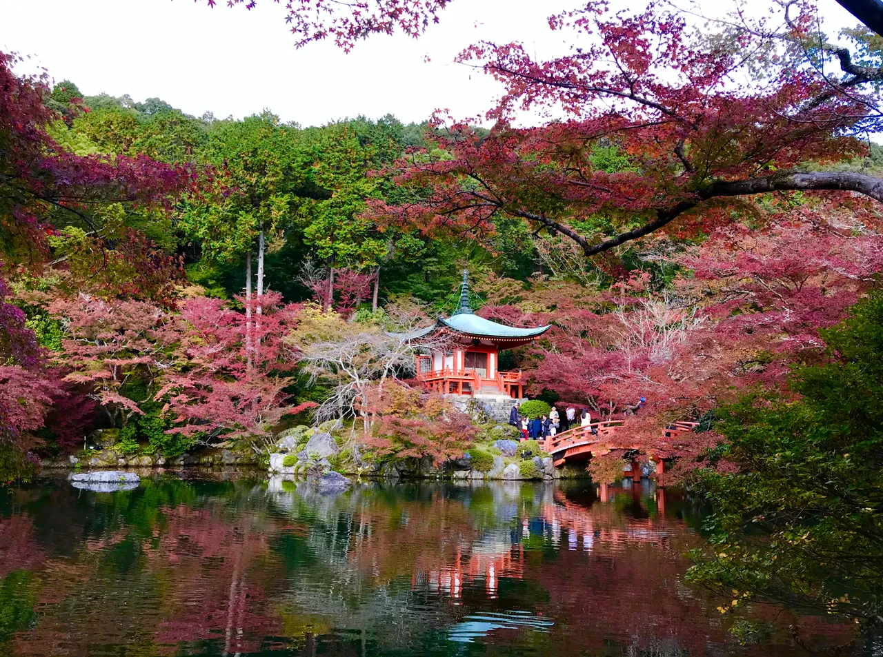 D5205D43-A6F1-4C89-A0C9-48861D701255.jpeg