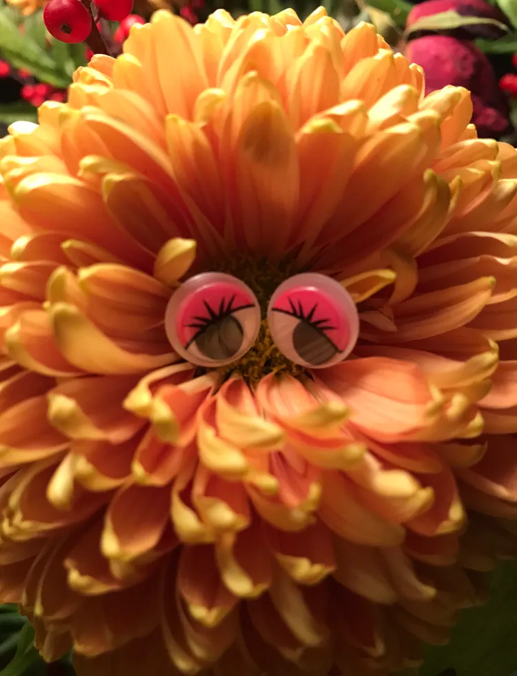 A5B76AD2-44D6-4818-94D0-73A1CA30BB12.jpeg