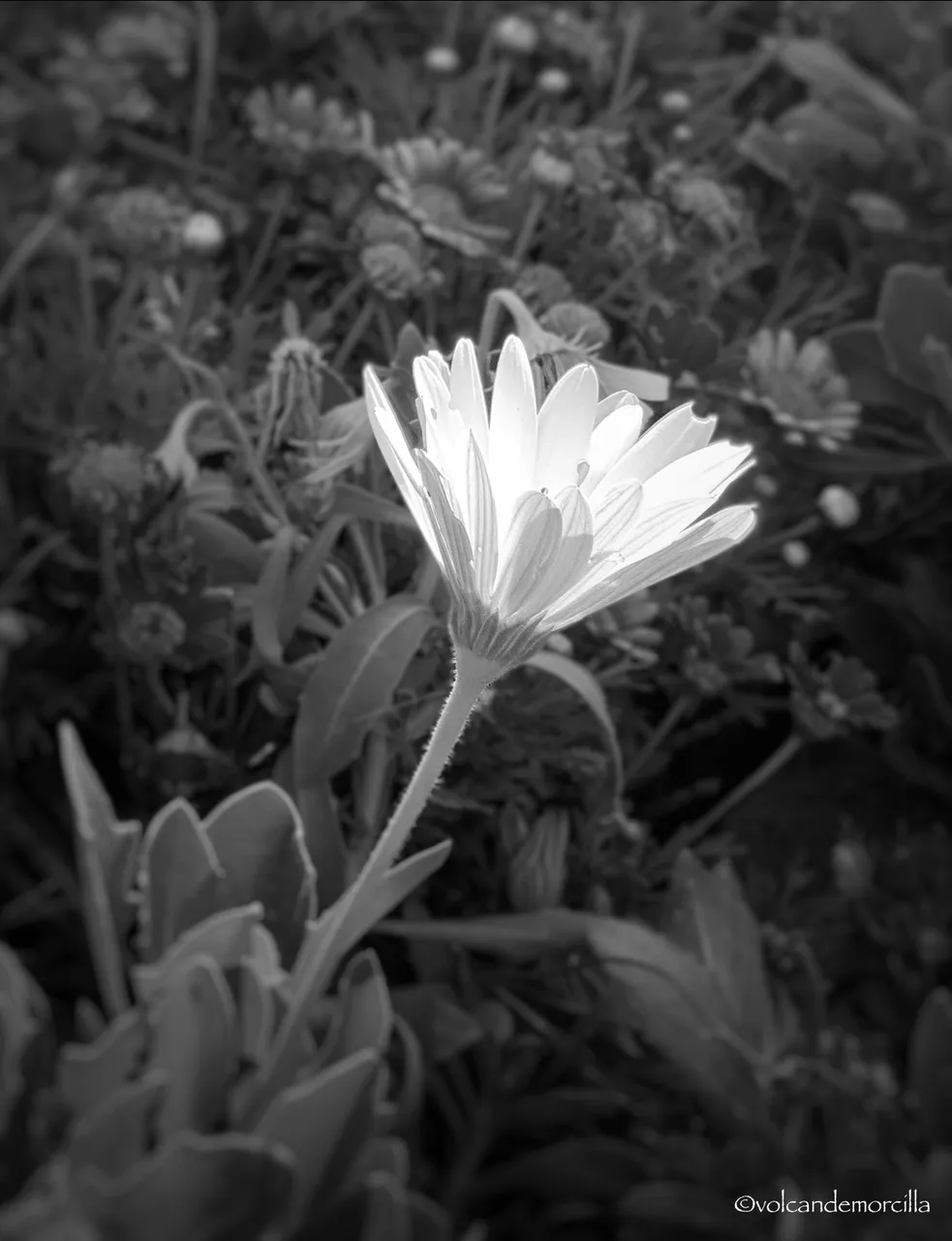 A3ECE92B-D210-4A8A-A218-88B32056620C.jpeg