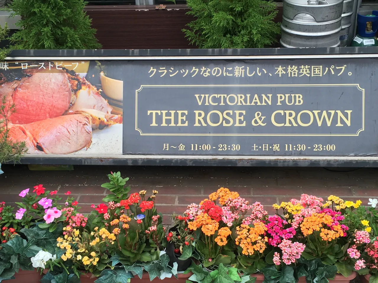 F1A95247-0E62-41F6-97C6-76B32CB34346.jpeg