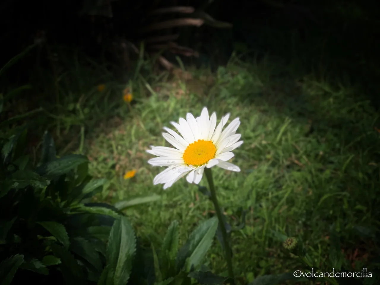 7D568E00-7D7B-4A3D-A39A-B931A18A73BD.jpeg