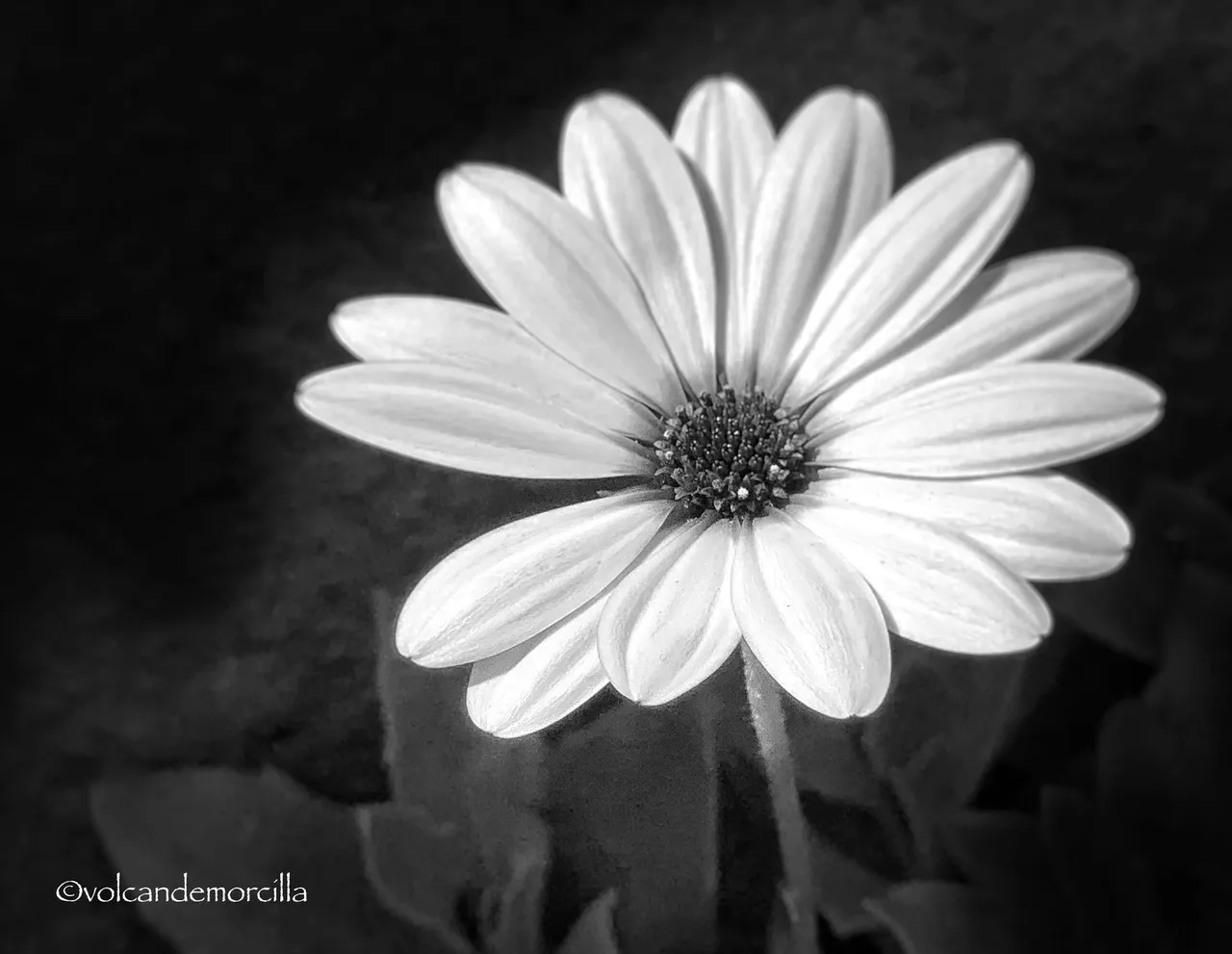 52A96139-CAA1-4F2E-A948-18DB5D2B94AD.jpeg
