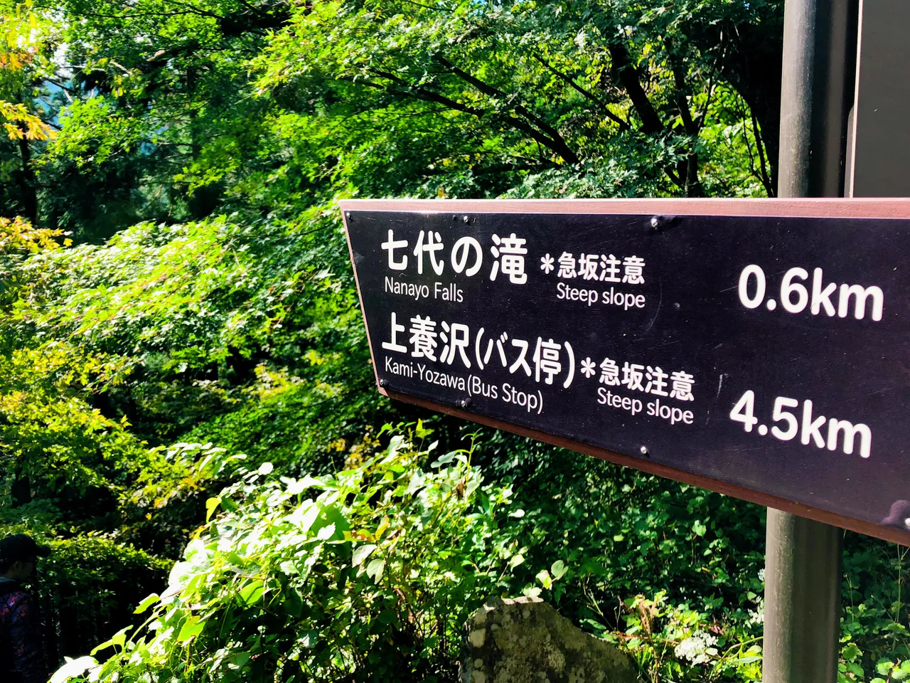 9FCA792D-5476-414C-94DA-D9FD58AA0D1C.jpeg