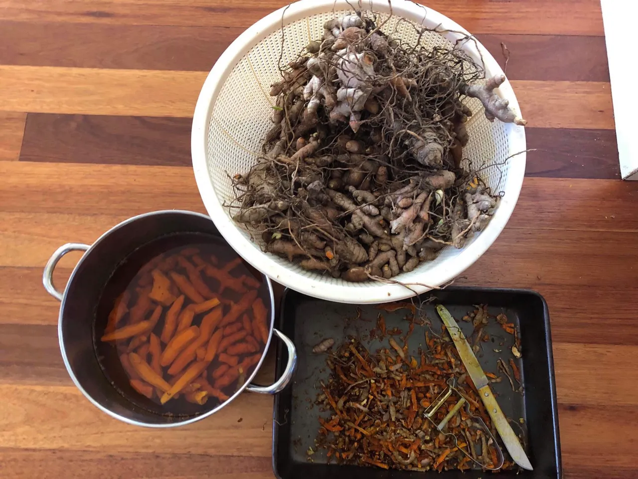 Peeling Turmeric rhizomes
