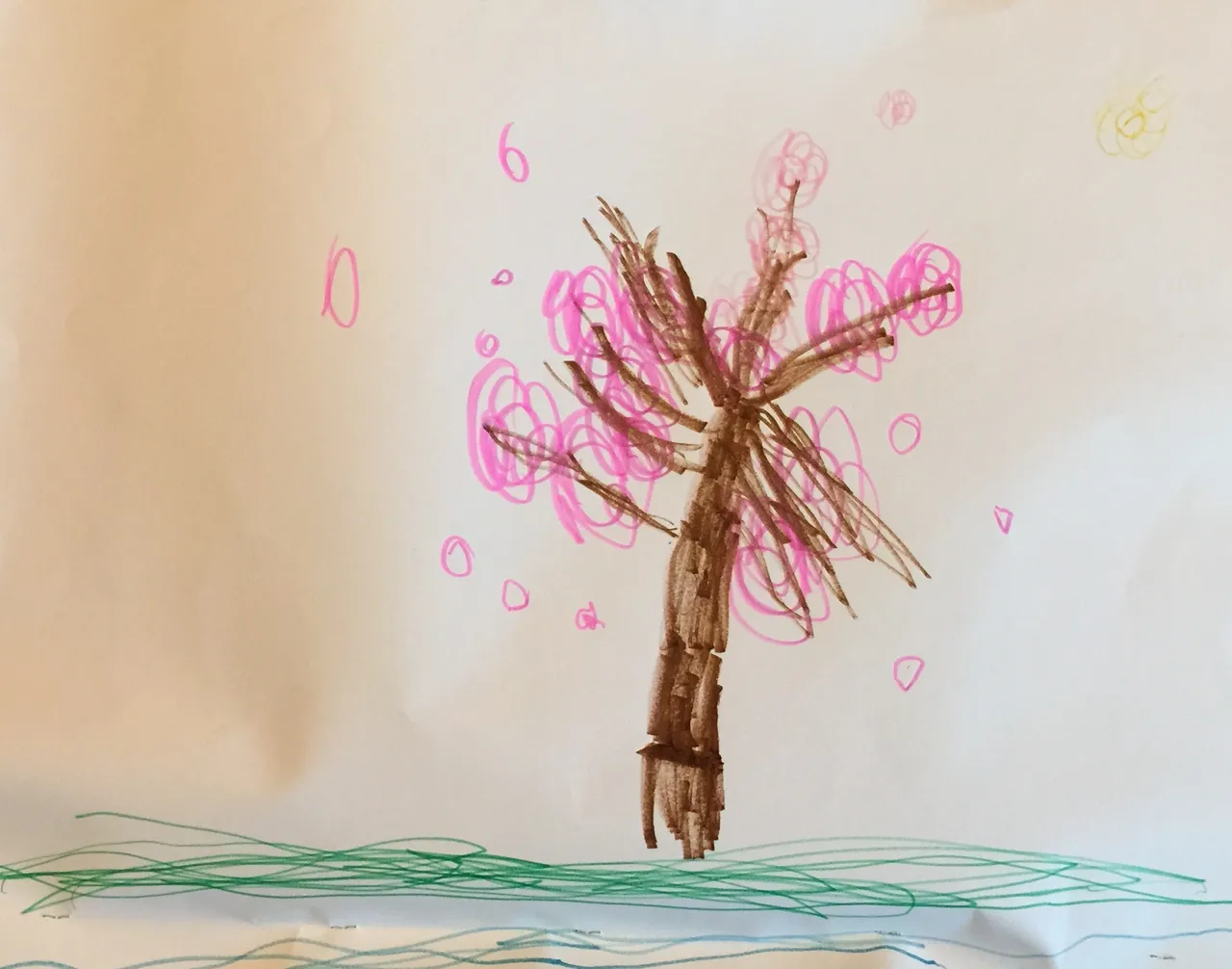 628DE1D7-A7D2-4C53-839C-0F556F23917A.jpeg