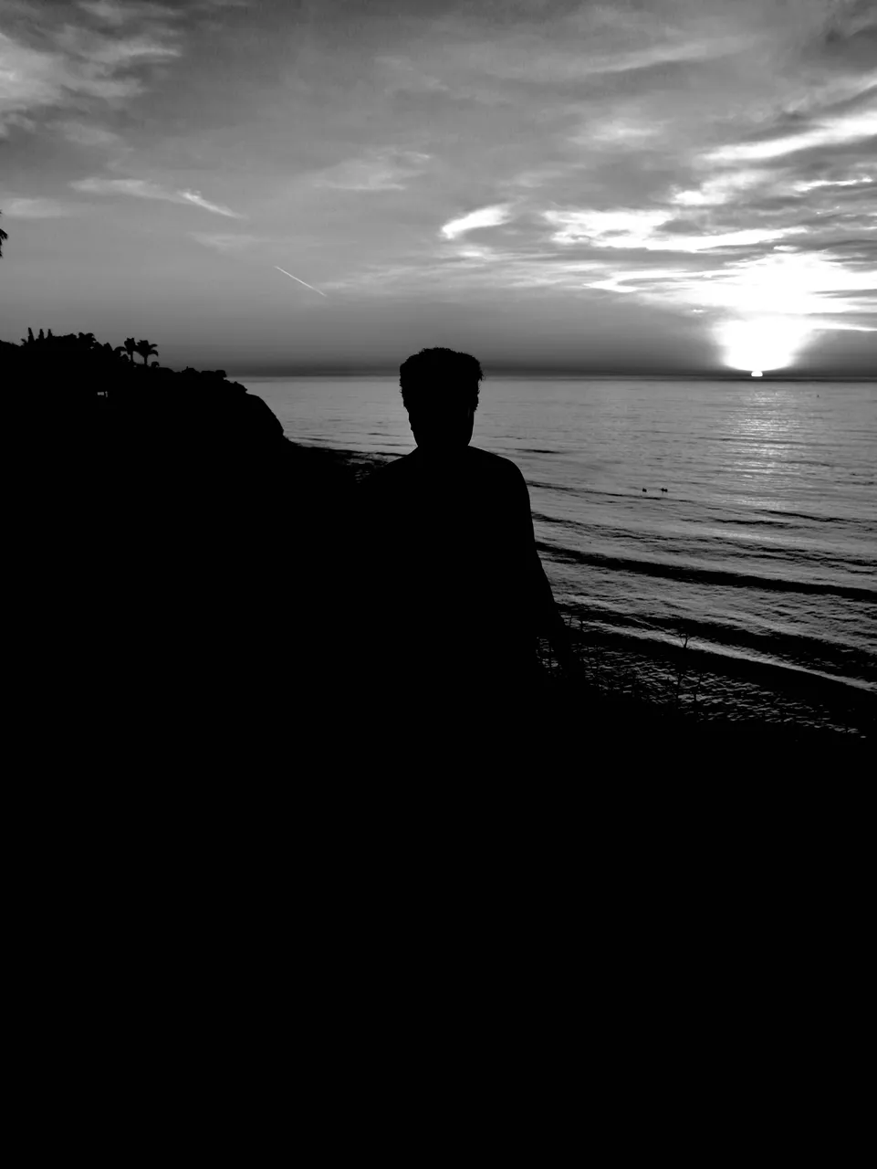 70D7DF89-B761-468F-B16A-2FE2BEA7030C.jpeg
