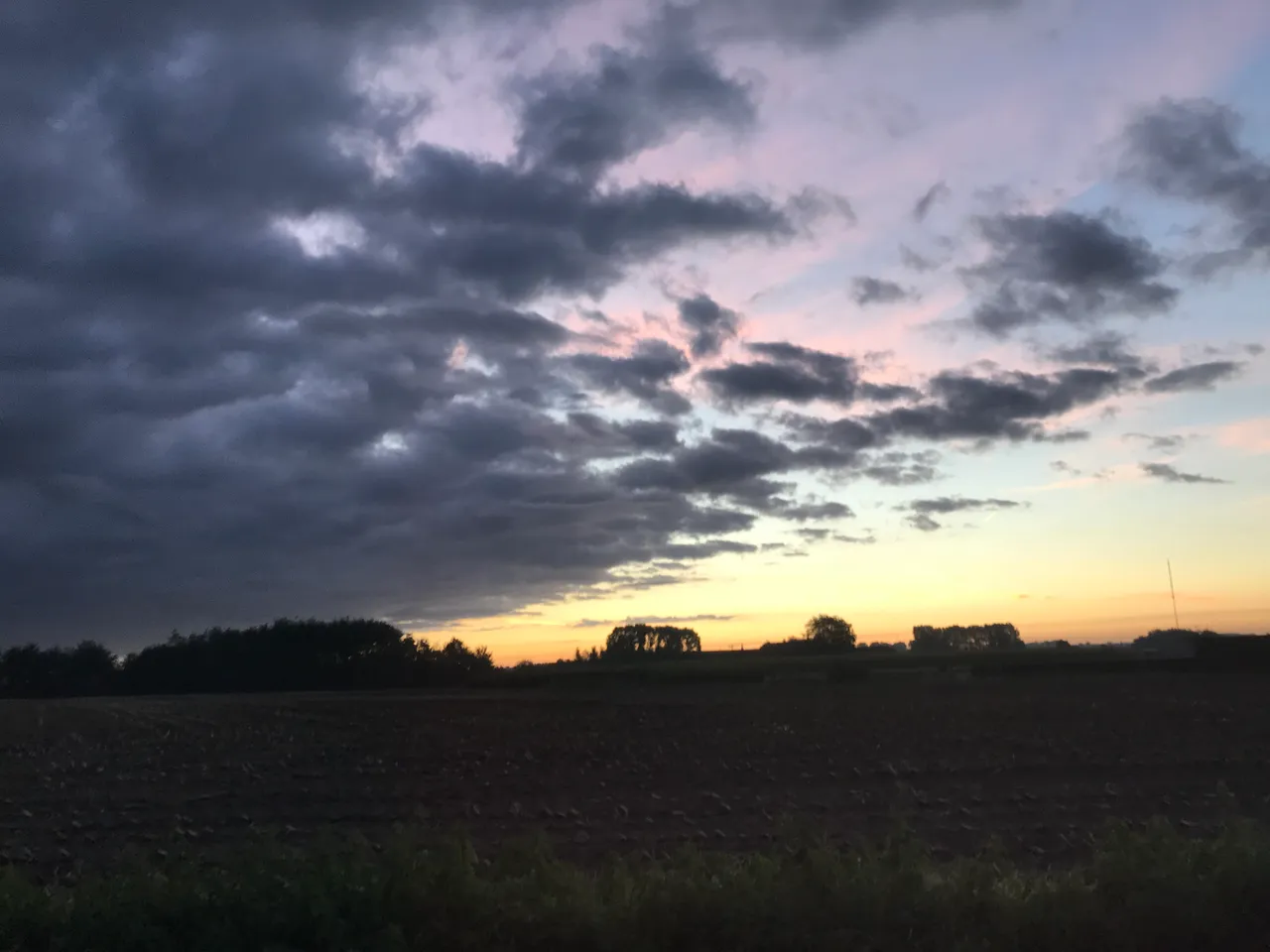 A0229D40-B7D3-40C4-9F8B-E4CFCD687D80.jpeg