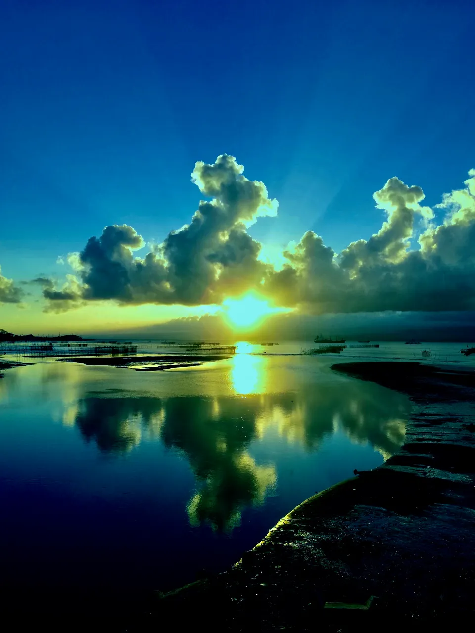 2D847AFA-CF21-4B9B-965F-1BED0B23D82E.jpeg