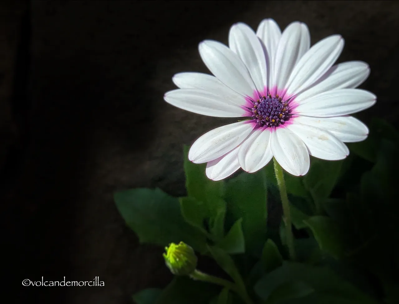 C67F6841-ED14-43C6-BB1F-51DB38861AC9.jpeg