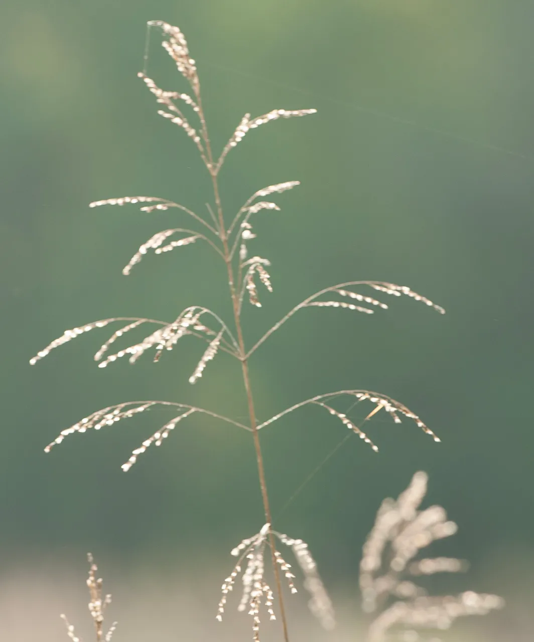 566F1331-B324-4F05-8E20-68356F18243C.jpeg