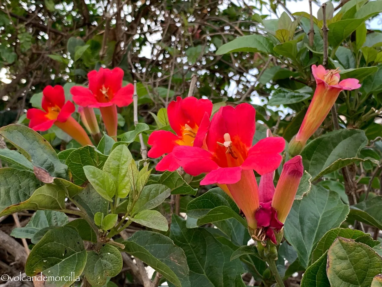 D14AA306-270D-49D8-BA86-95B0AFB6D82F.jpeg