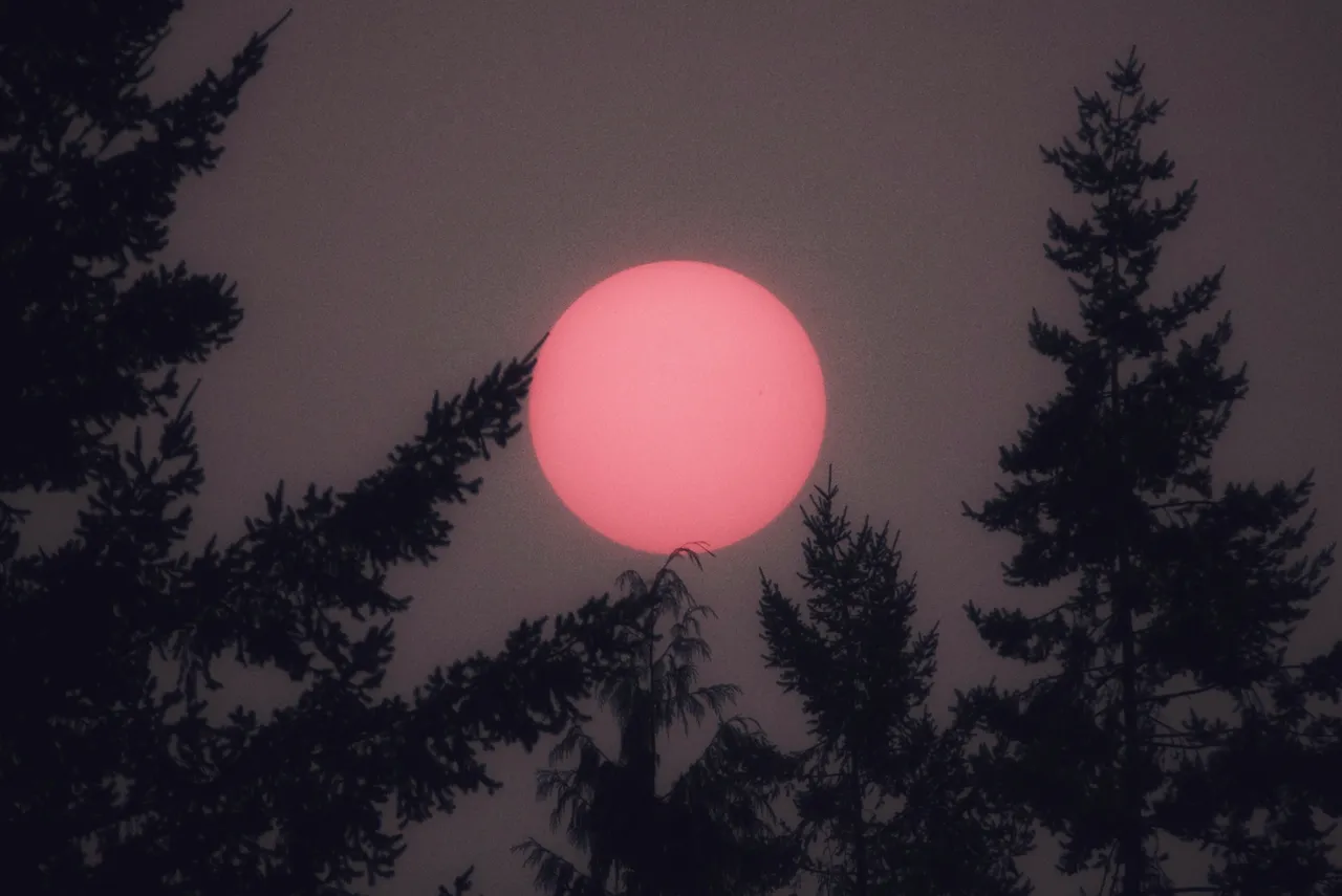 Smokey Sunset - 2018 Kelowna.jpeg