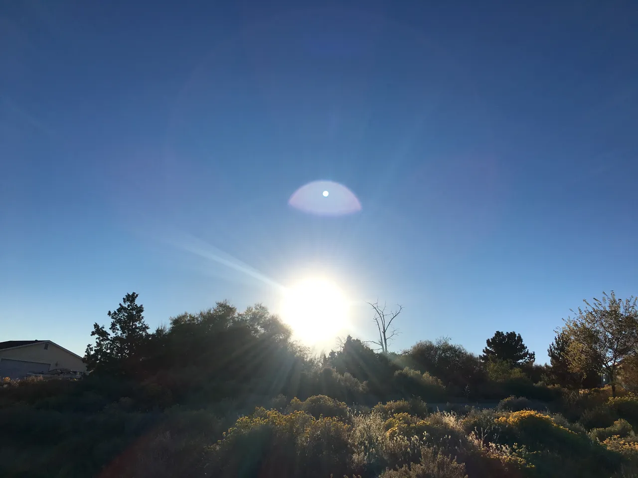 3342C6DC-0193-40BF-966A-A5587A3B5DB3.jpeg