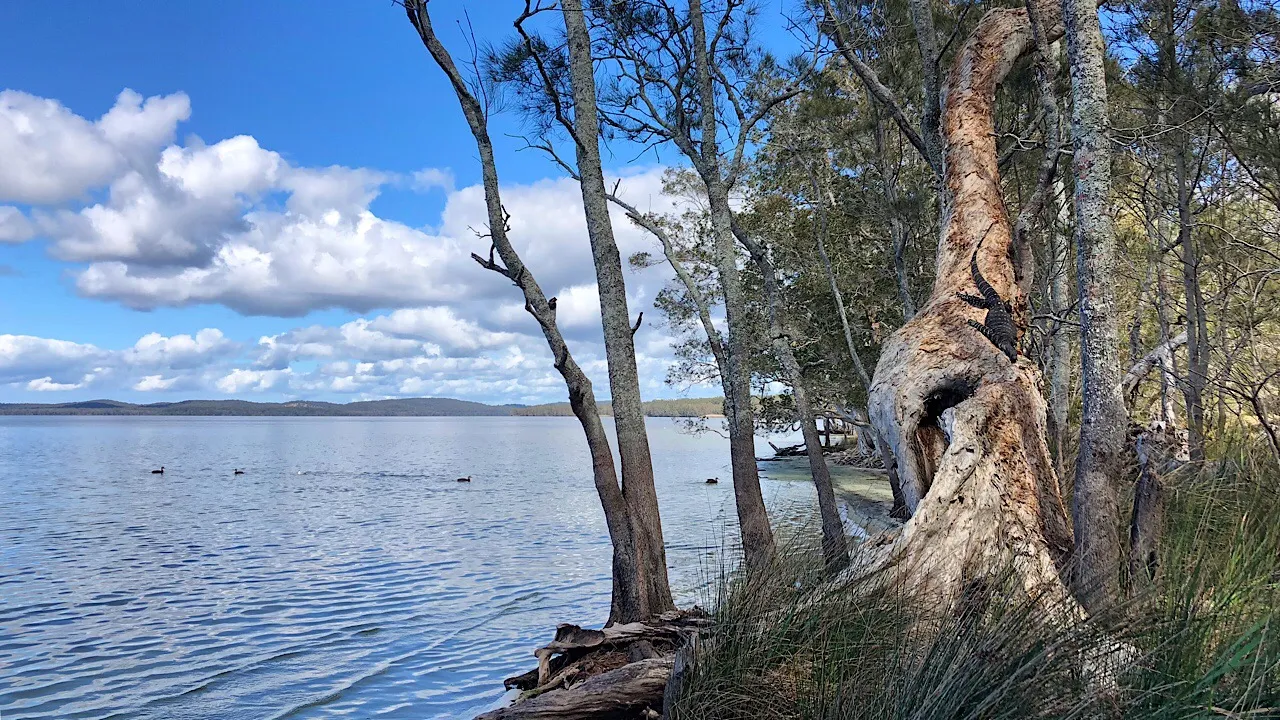 Myall Lake