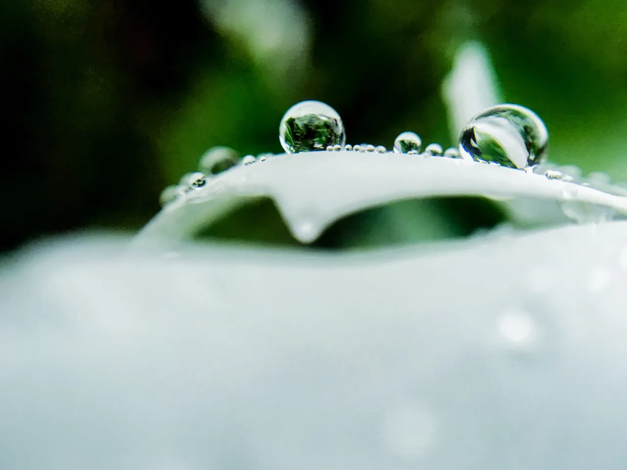 89FA3350-EE14-473D-96DA-133580F2E306.jpeg