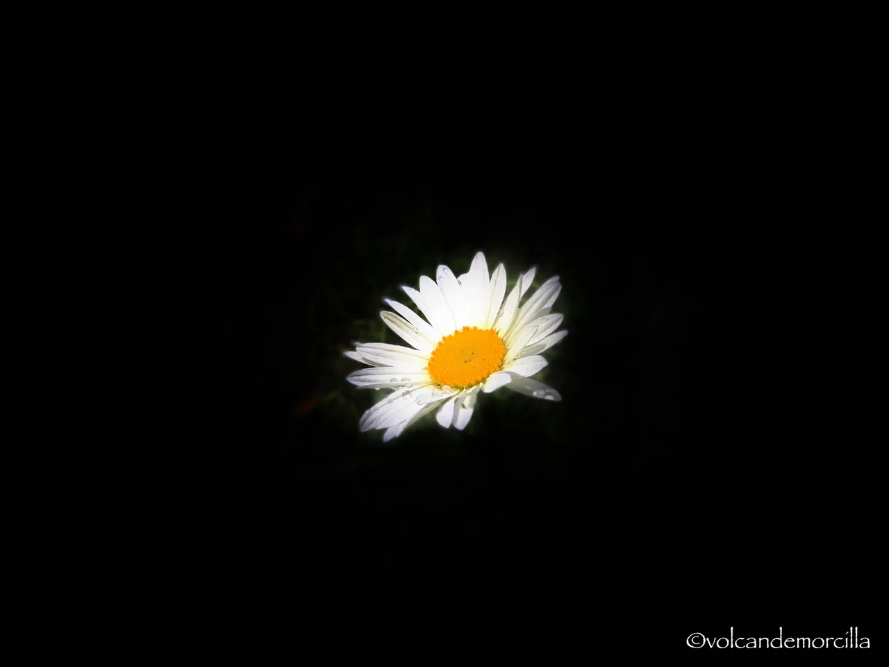 241788B4-6294-4168-8045-4581408C31A6.jpeg