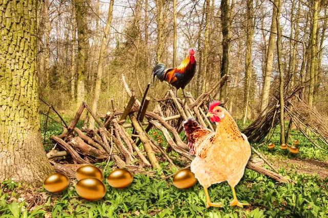 The Hen and the Golden Eggs.jpg