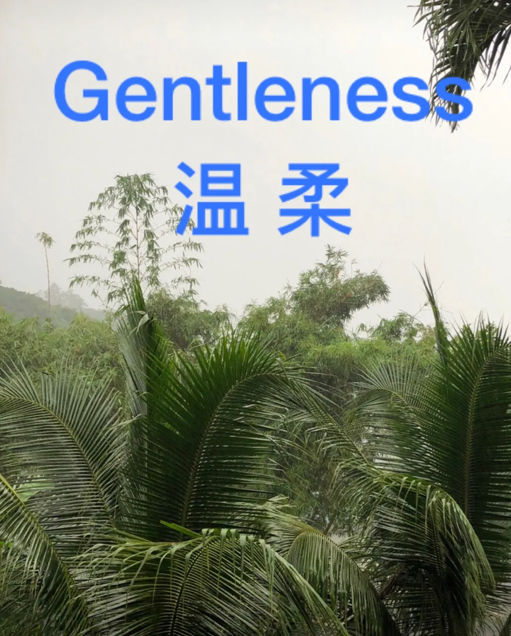 307FF8B3-CA10-47EB-BDAE-29D40669899E.jpeg