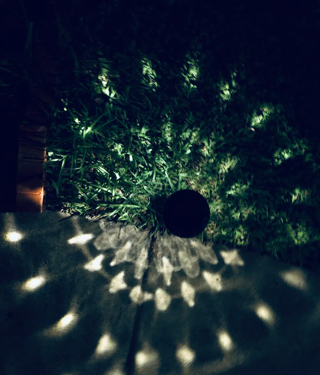 0FEB0E5A-7A72-4390-B573-325BA26A766F.jpeg