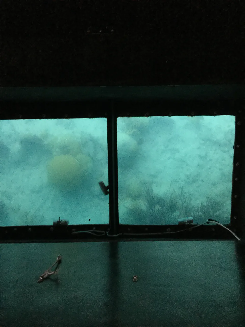 07EDE525-FF60-42F0-8A87-9132B022CA3D.jpeg