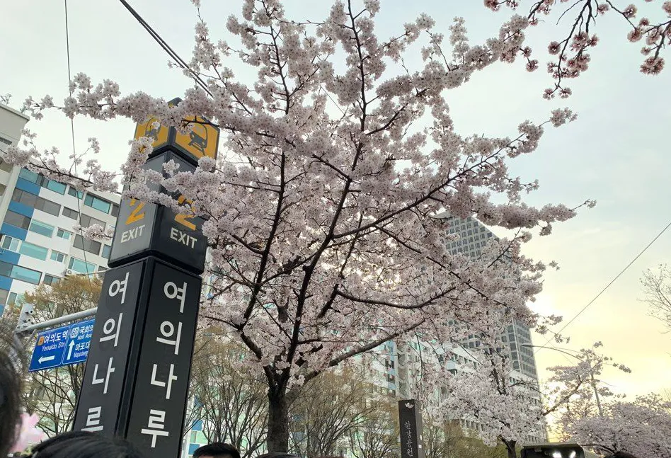 금융위기1.png