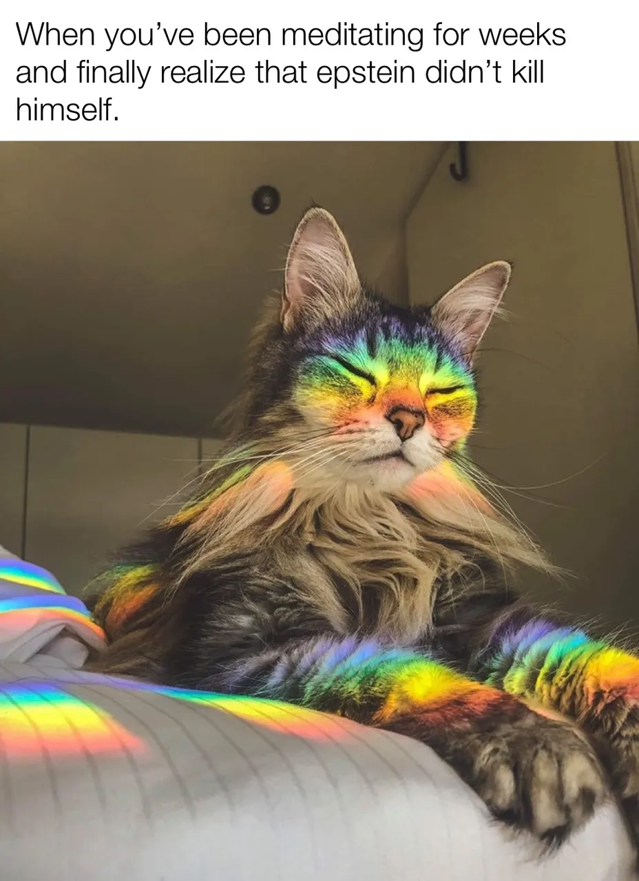 5B3A989D-62E6-46DA-ABD6-C6E3E2B13D48.jpeg