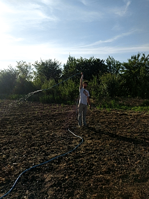 Burst_Cover_GIF_Action_20180530183953.gif