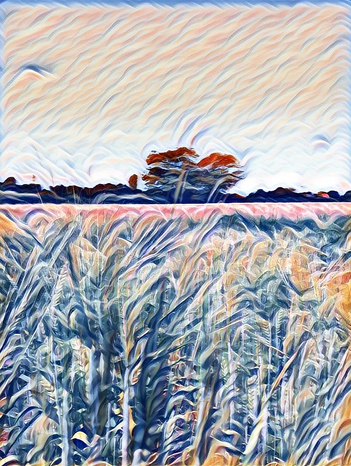 E7AC5B87-BC81-4135-A041-BF7698A73C1E.JPEG