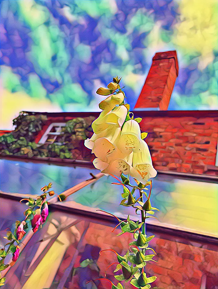 958EC891-03C1-4C6C-A2F9-AA26FDC4B9F9.JPEG