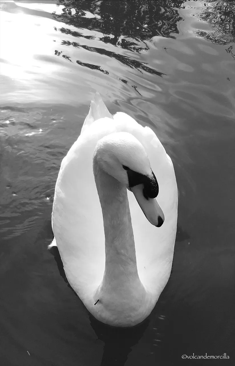 A63F5403-668E-4C2D-877A-A6A9D8354C85.jpeg