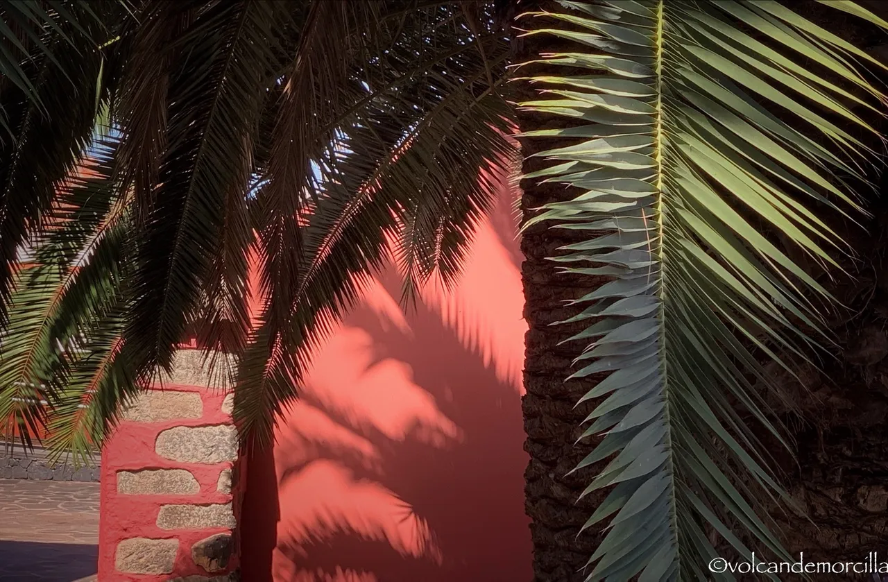 AC2D0963-F579-41D4-BFE0-69A1BEB52D8F.jpeg
