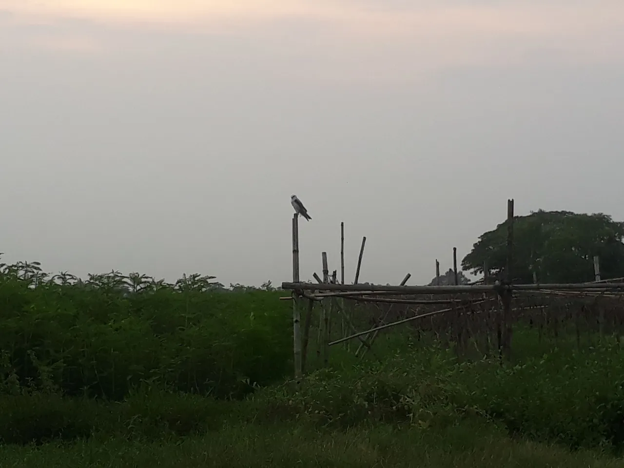 20210603_180040.jpg