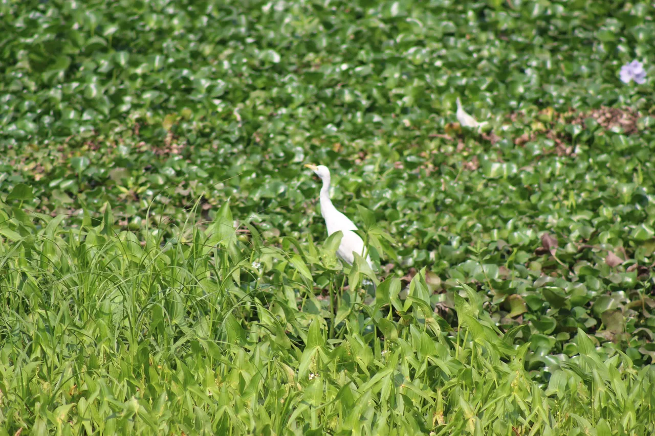 IMG_3031.JPG