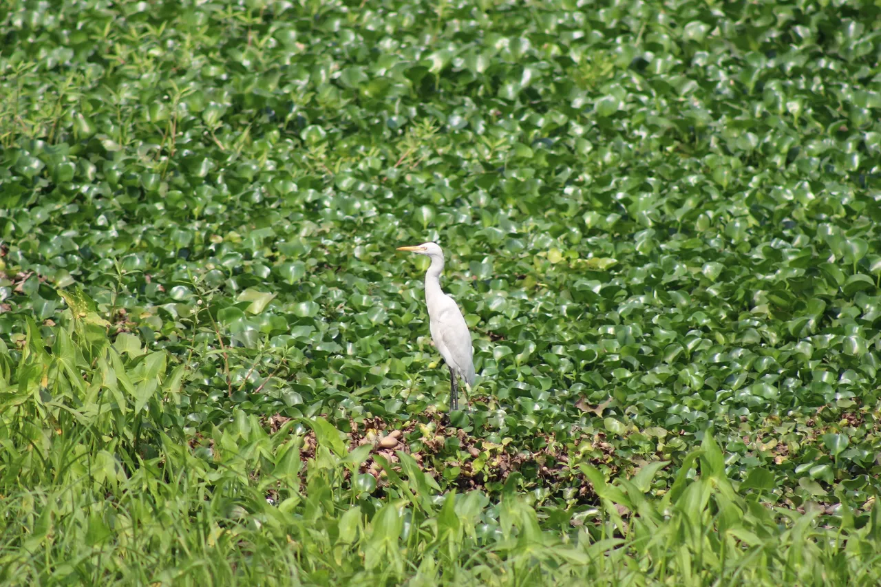 IMG_3034.JPG