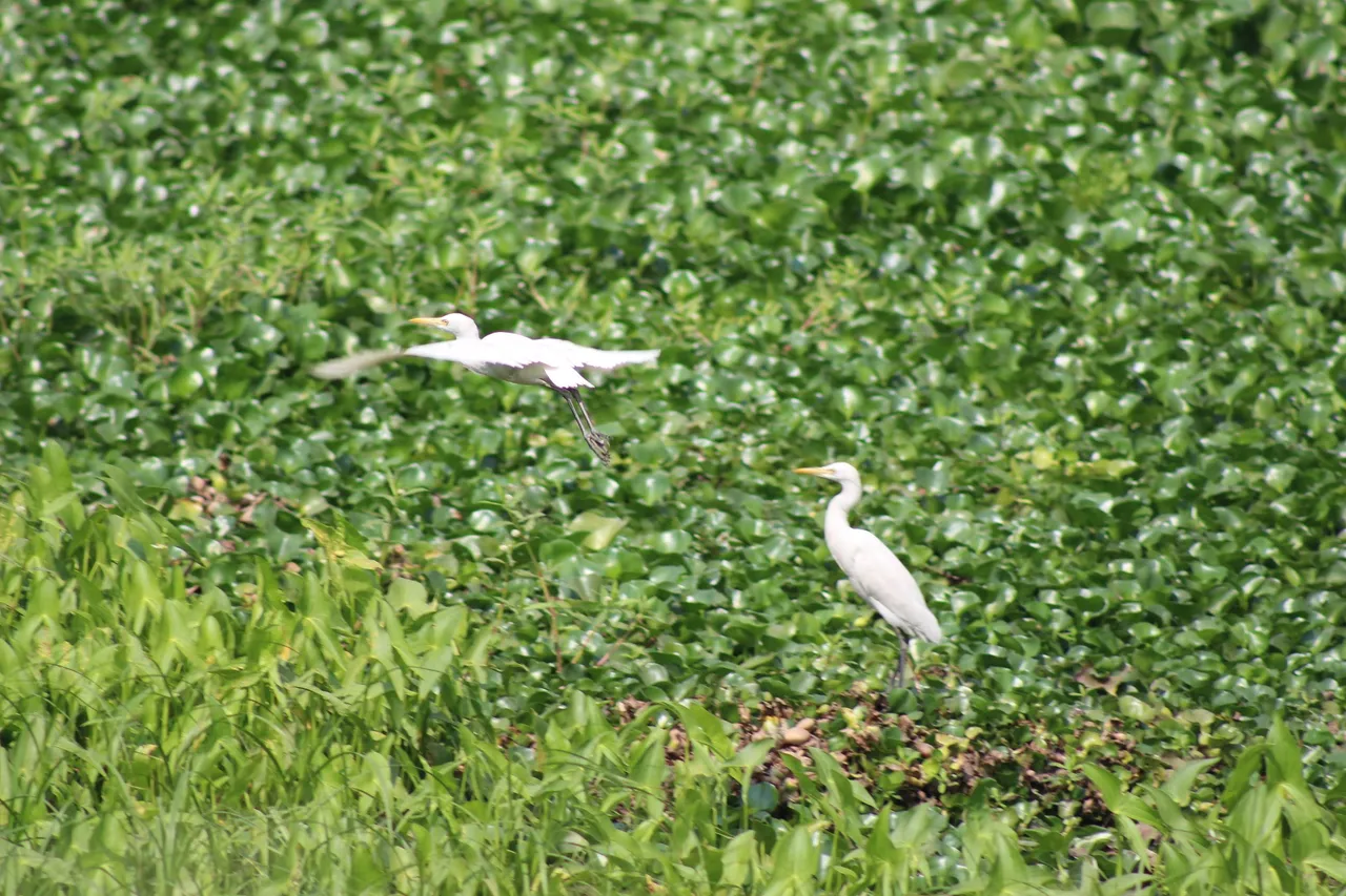 IMG_3035.JPG
