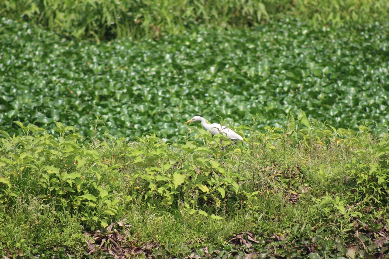 IMG_3028.JPG