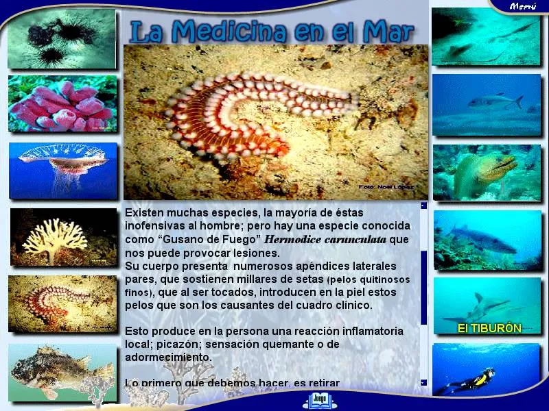 la Medicina en el Mar.jpg
