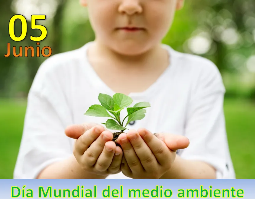 dia del ambiente.png