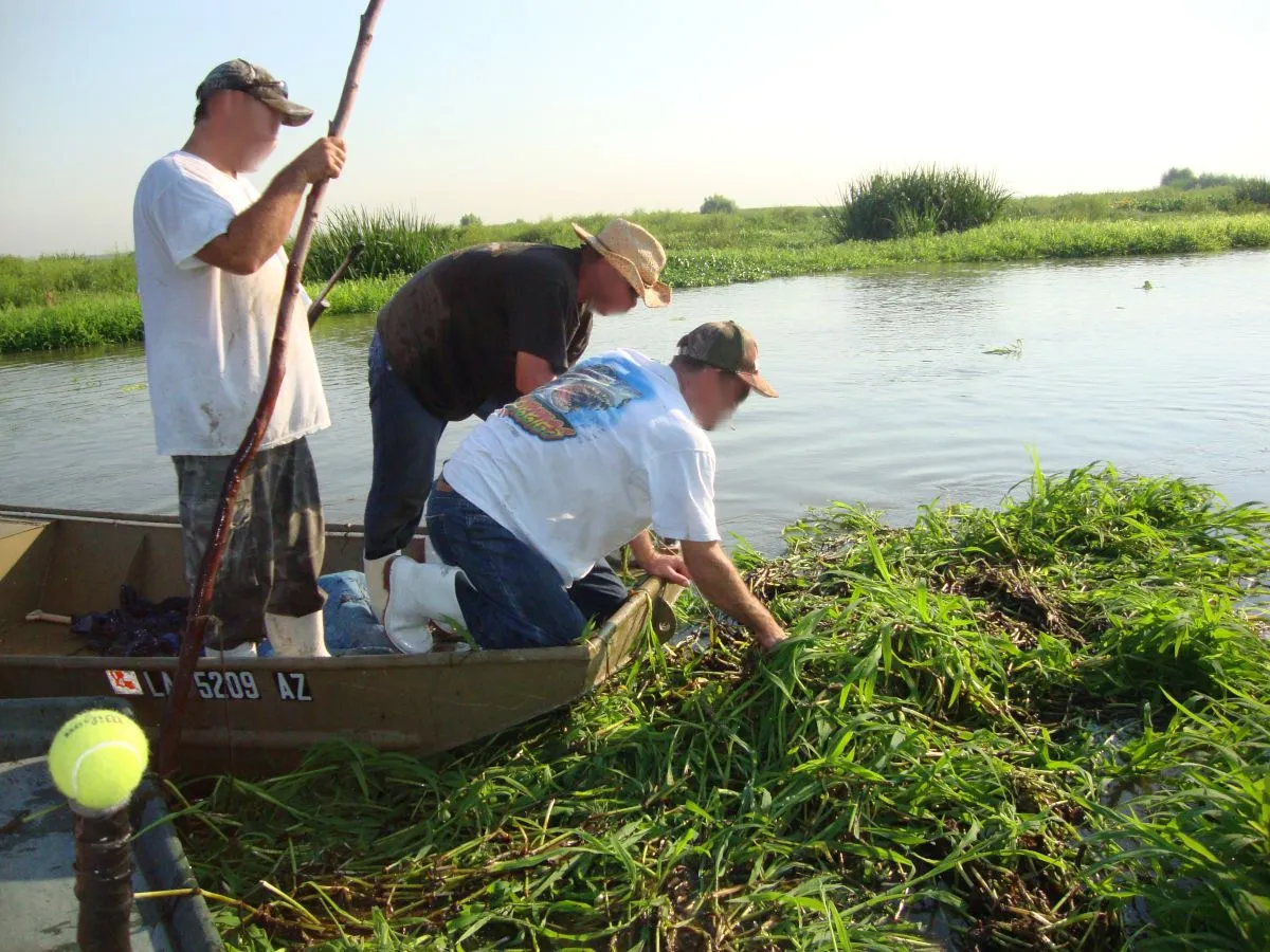 Gator_Hunting_2011_in_Louisiana_04 Mark Gstohl 2.0.jpg