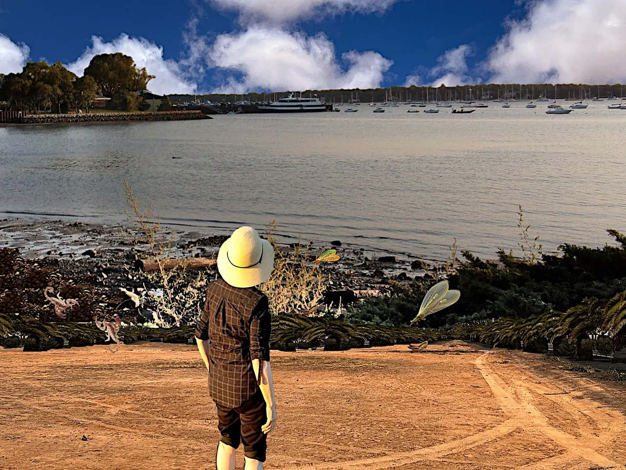 lmac 182 beach3.png
